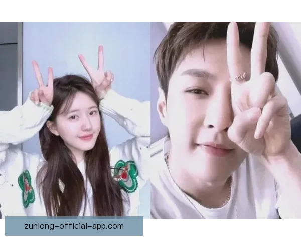 尊龙的真实身份与传闻揭秘全面解析与真相探讨